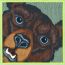 Yellowstone Forever Grrrrr! scarf 100, marron/lime/sapin