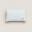 Cabriole pillow, vert aqua