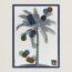 Cocotillons blanket, bleu paon/marine