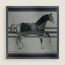Cheval a la Couverture Spirale scarf 100, gris clair/bleu marine/anthracite, no stock