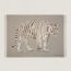 La Marche du Tigre blanket, galet