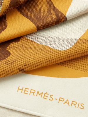 Les 6 Pas du Cheval blanket, View: Detail, detail, view 3 of 5