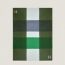 Plaid Summer Dye, vert mousse