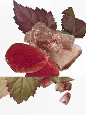 L'Ambre des Merveilles Eau de parfum, View: front, front, view 3 of 4