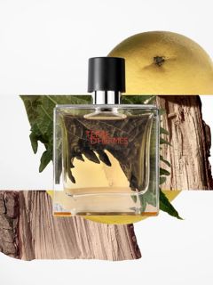HERMÈS TERRE D'HERMÈS Eau de Toile100ml Terre d'Hermes Parfum - 2.54 fl.oz | Hermès USA