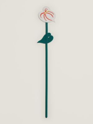 Leather anthurium flower, View: front, front, view 3 of 4