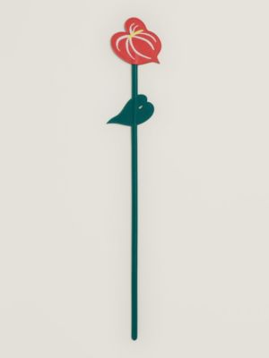 Leather anthurium flower, View: front, front, view 4 of 4