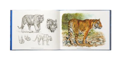"Ferocious and Fragile" book in French, View: front, front, view 2 of 2