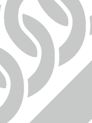 orfèvre gris platine/blanc