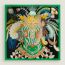 Cheval Masque shawl 140, vert menthe/noir/multicolore