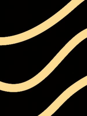 jaune or/gris platine/noir