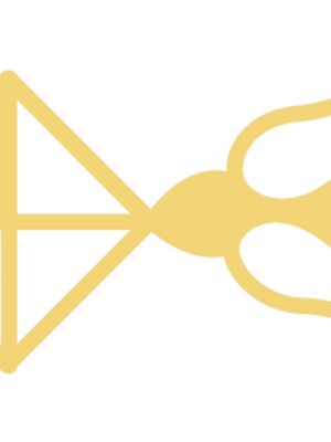 orfèvre jaune or/blanc