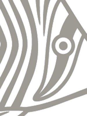orfèvre gris platine/blanc