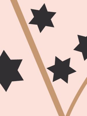 sable/rose poudre/anthracite