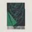 Casaque Entrelacs Equestres scarf, bleu noir/vert, no stock
