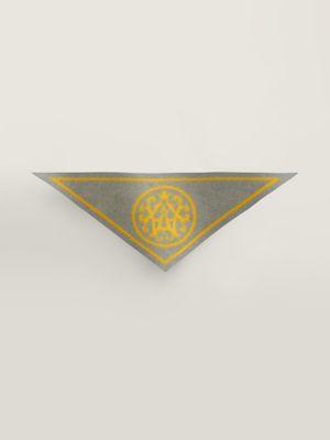 Pointe Blason