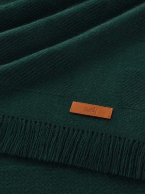 Etole Rayée H, Vue: Vue détaillée, detail, vue 3 sur 3