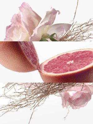 Concentré de pamplemousse rose Eau de Toilette, Ansicht: Vorderansicht, front, Ansicht 2 von 2