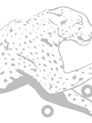 orfèvre gris platine/blanc