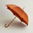 Pluie de H long umbrella, potiron