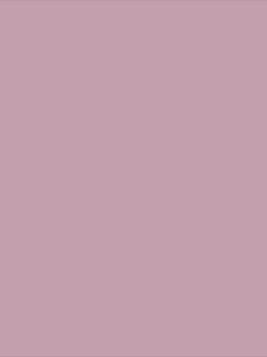 mauve sylvestre