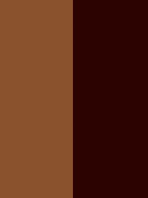 gold/rouge H