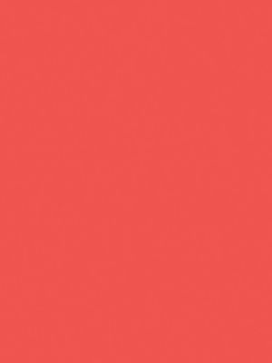 36 –&nbsp; Corail Flamingo