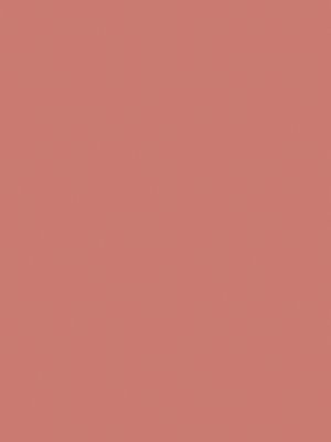 13&nbsp;–&nbsp;Beige Kalahari