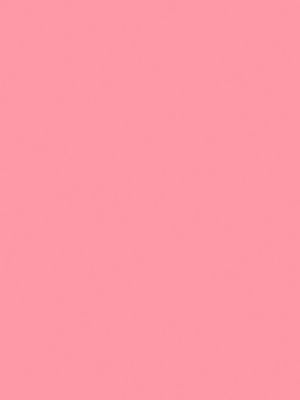 28&nbsp;–&nbsp;Rose Plume