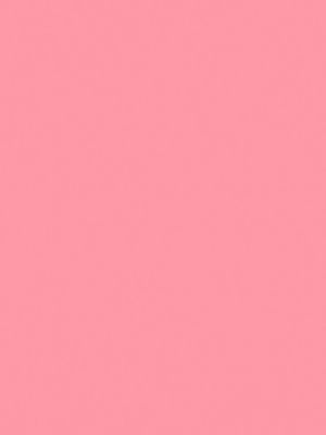28&nbsp;–&nbsp;Rose Plume