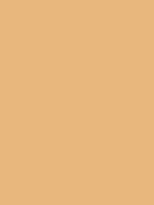 45 – 벙부