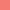 26 – Rose Himalaya