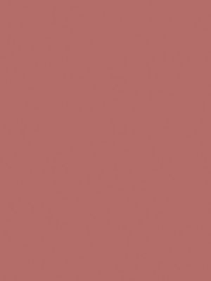 49&nbsp;–&nbsp;Rose Tan