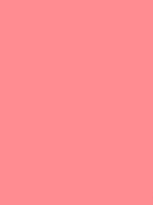 30&nbsp;–&nbsp;Rose d'Été