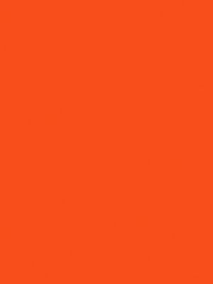 39&nbsp;–&nbsp;Orange Poppy