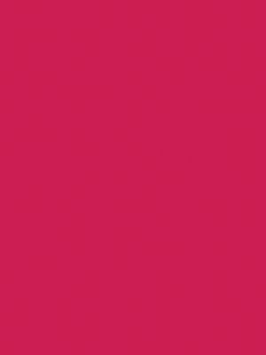 70&nbsp;–&nbsp;Rose Indien