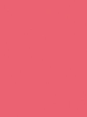 03&nbsp;–&nbsp;Rose Pitaya