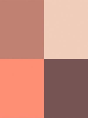 03 – Ombres Fauves