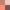 03 – Ombres Fauves