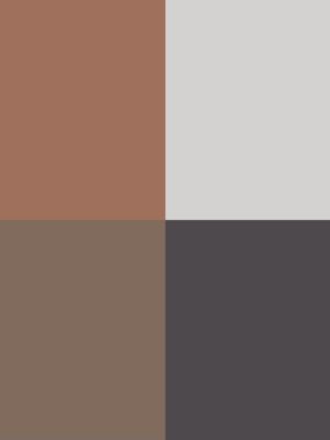 05 – Ombres Fumées