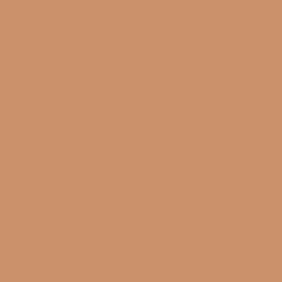14 – Beige Cuir