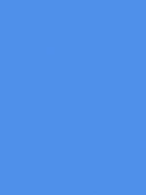 27&nbsp;– Bleuet