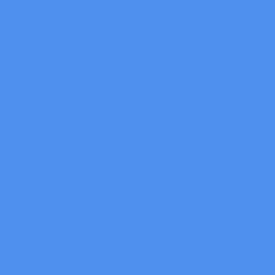 27&nbsp;– Bleuet