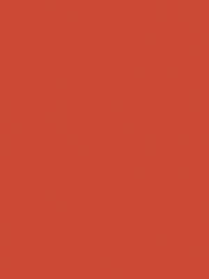 36 – 오랑쥬 토니끄