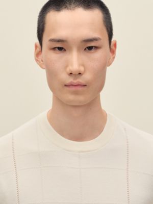 ショートスリーブニット 《ジュ・ドゥ・ポワン・セリエ》, イメージ: 着用例, worn, ビュー5の6