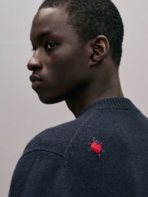 Pull col rond «&nbsp;broderie coccinelle&nbsp;» en cachemire, Vue: Vue portée, worn, vue 4 sur 5