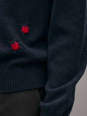 Pull col rond «&nbsp;broderie coccinelle&nbsp;» en cachemire, Vue: Vue portée, worn, vue 5 sur 5