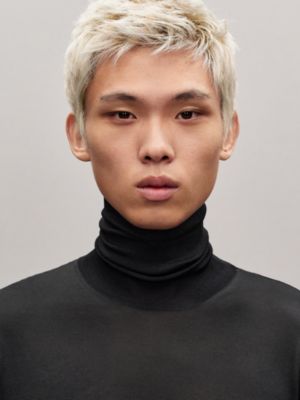 タートルネックニット 《Hエトリヴィエール》, イメージ: 着用例, worn, ビュー2の5