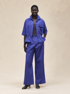bleu roi