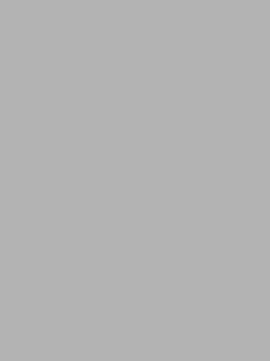 gris clair mat